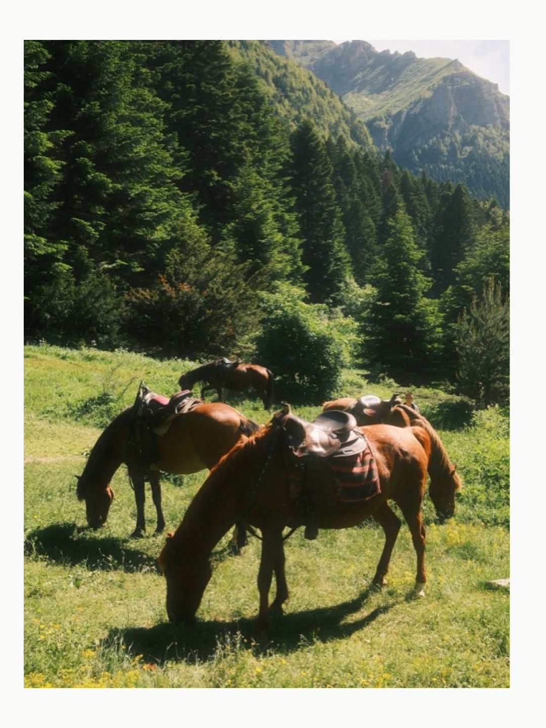 Leshnica Hike