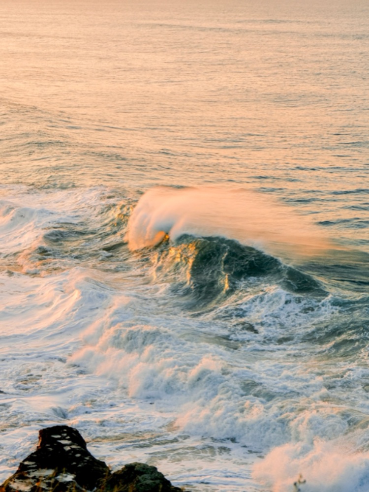 ~ Water