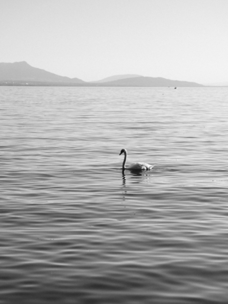 The lake