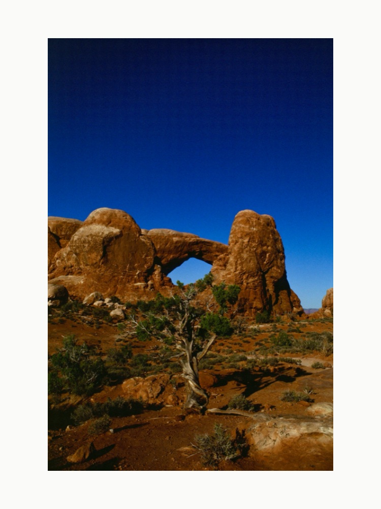 Moab — Arches on film