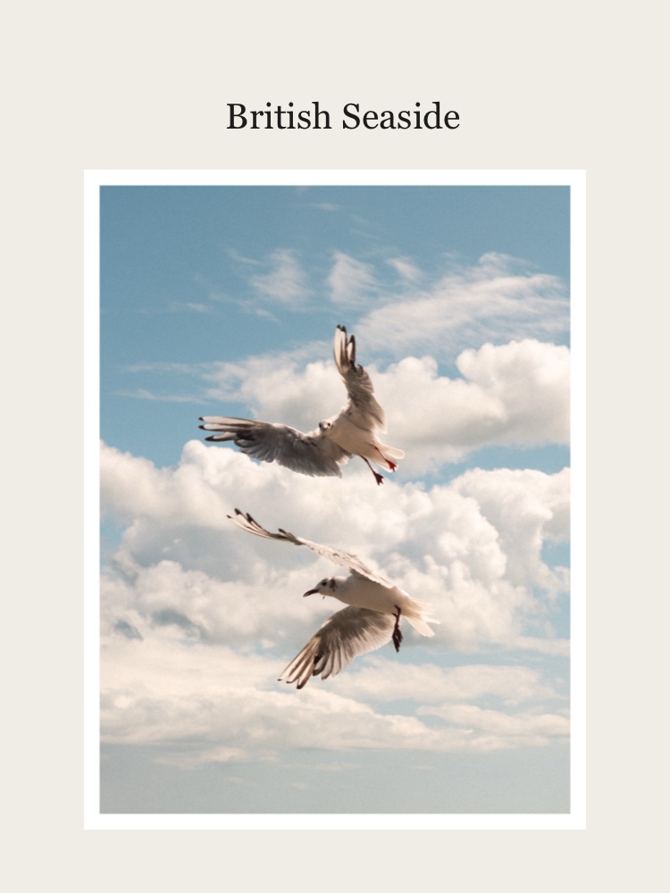 The British Seaside 