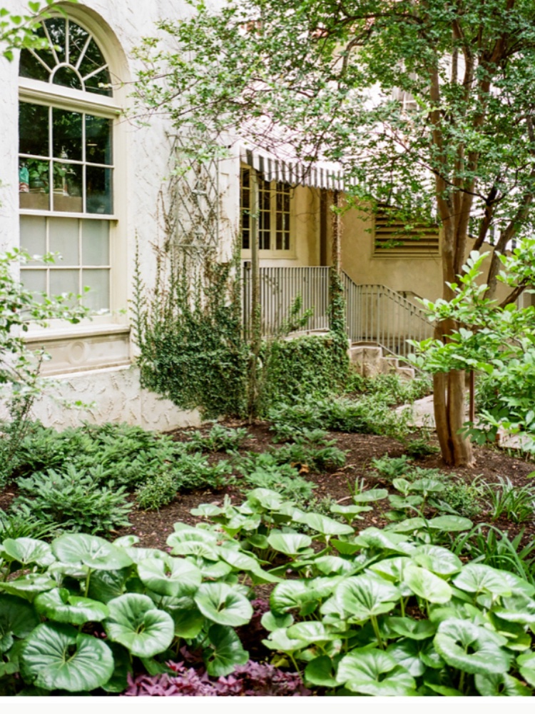 the charm of commodore perry estate on 35mm film