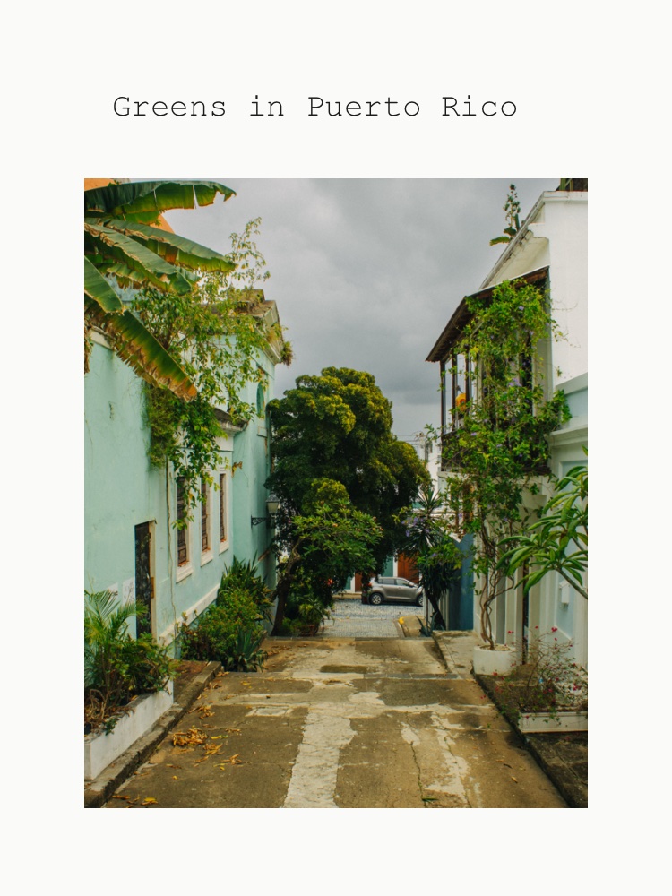 Greens of PR🇵🇷
