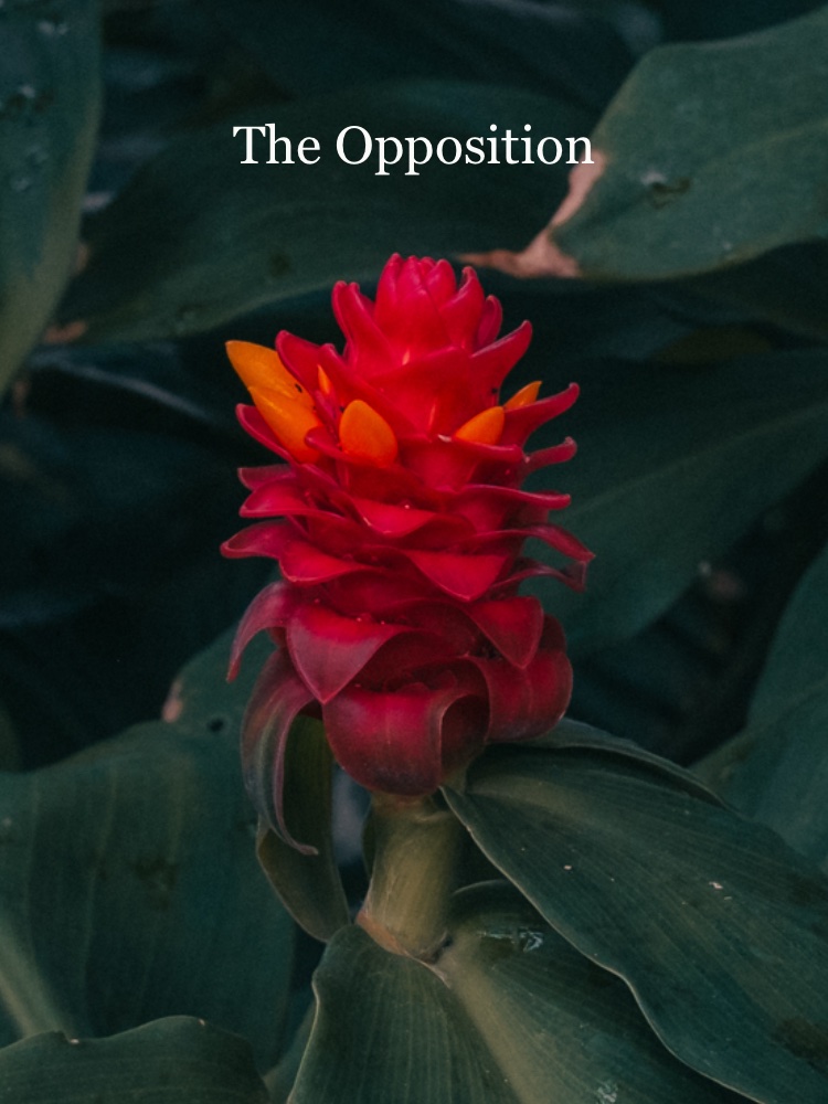 The Opposition ZINE