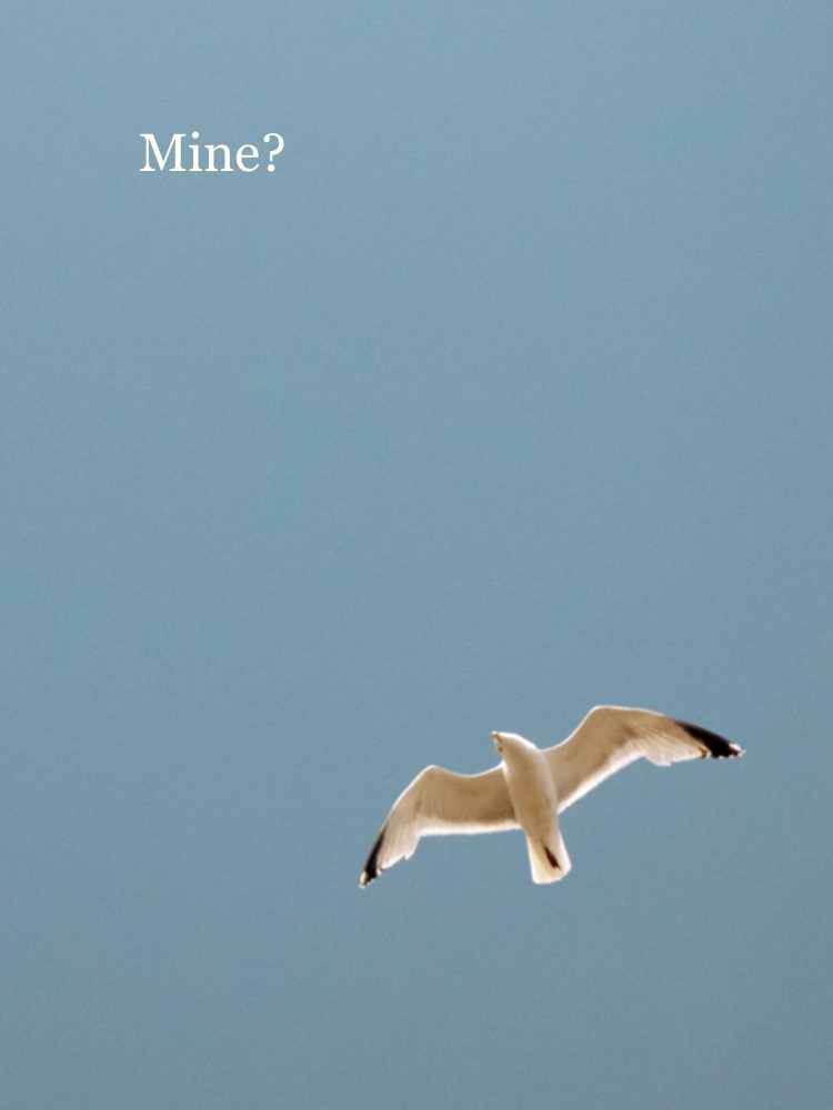 Mine?