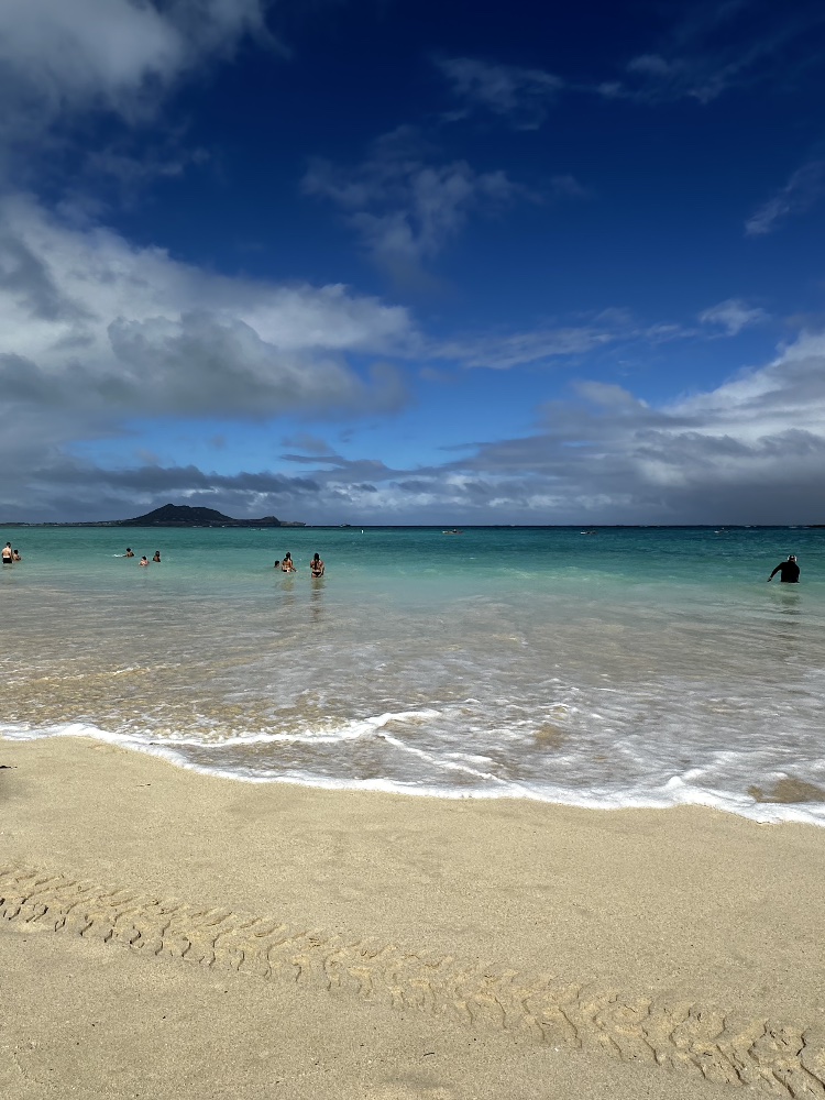 Memories of a trip to a tropical country