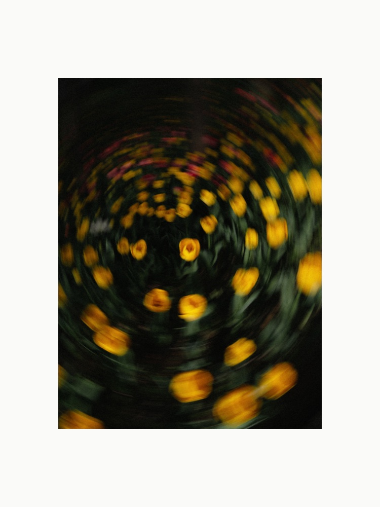 Circle