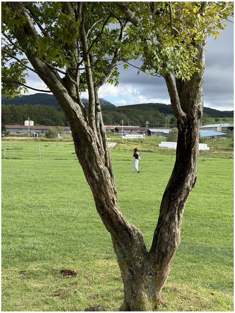 Strolling through the ranch