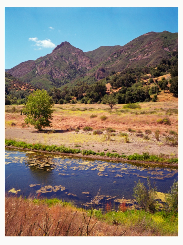 THE CREEK, THE MOUNTAINS  — cover