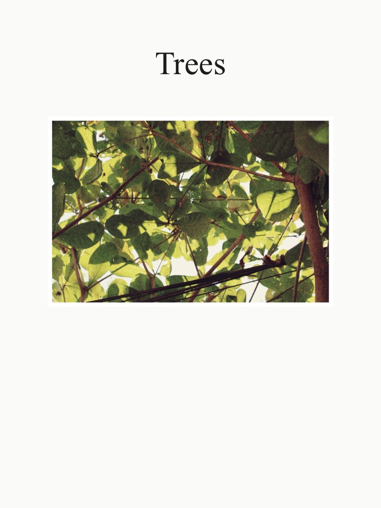 Just trees