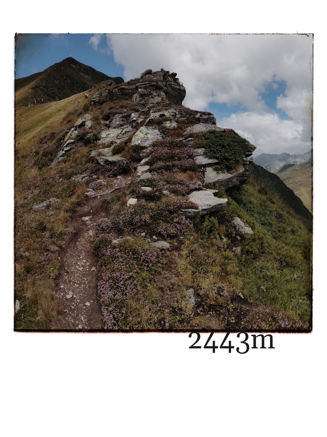 2443m