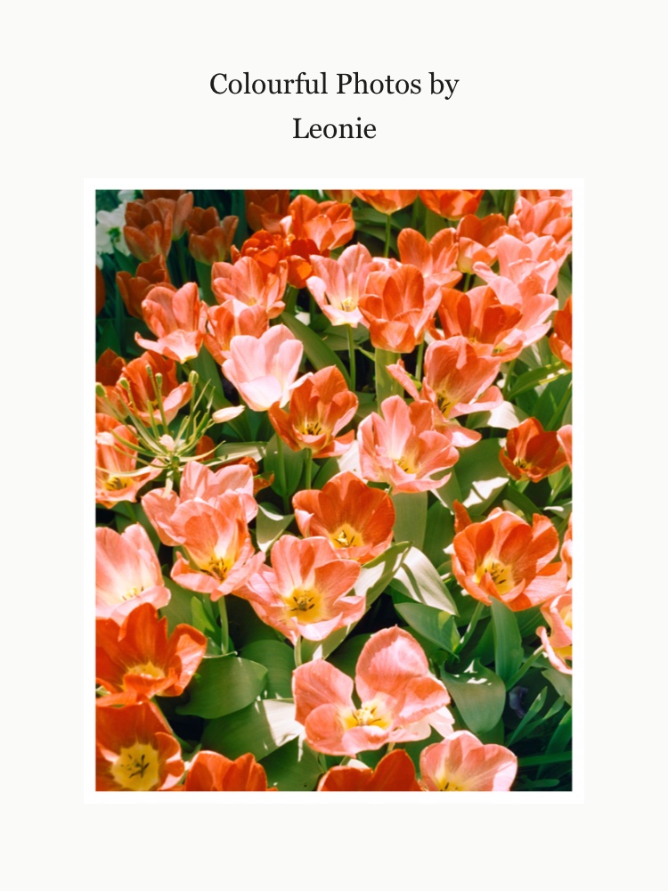 Colourful Photos by Leonie